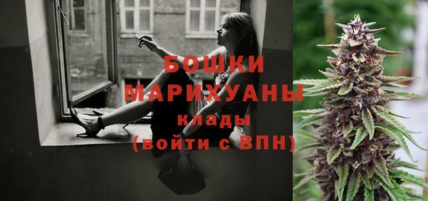ешки Заводоуковск