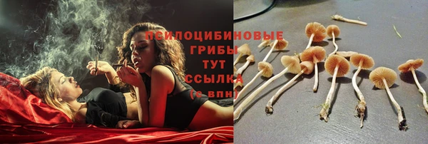 mdpv Алзамай