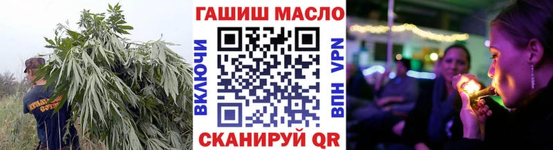 где можно купить   Жуков  ТГК THC oil 