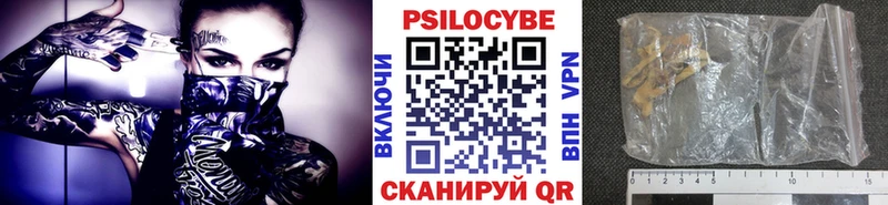 Псилоцибиновые грибы мицелий  где найти   MEGA зеркало  Жуков 