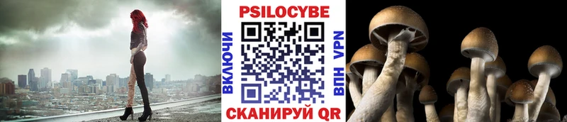 Псилоцибиновые грибы мицелий Жуков